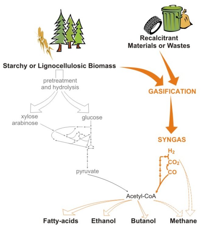 Figure: Synthesis gas as substrate for bio-based processes