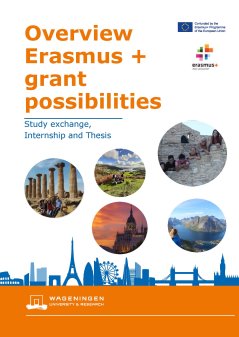 Overview Erasmus+ grant possibilities_.jpg