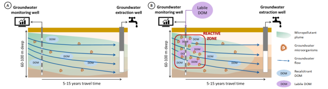 Micropollutant attenuation in groundwater: A – Natural attenuation; B – DOM amended attenuation