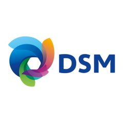 DSM-500.jpg