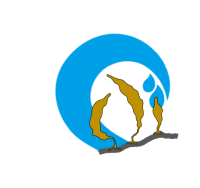 Logo SEASeeds Consortium 