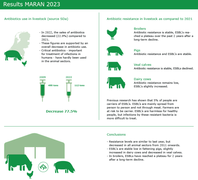 Click on the MARAN 2023 infographic to enlarge