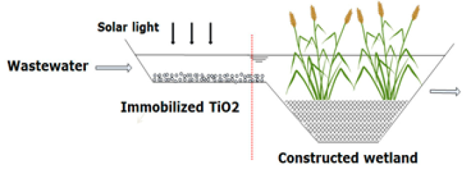 Fig. 1. Schematic overview of drug removal by photodegradation combined with constructed wetlands