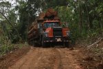 Primary road construction inside the forest, although usually an important source of carbon losses, has only a marginal impact in Costa Rica. However, wood transportation is the second largest source of GHGs