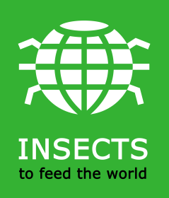 33cfb1eb-b00d-45a4-ab5a-2cd99c264663_vignet_eatable insects_RGB.png