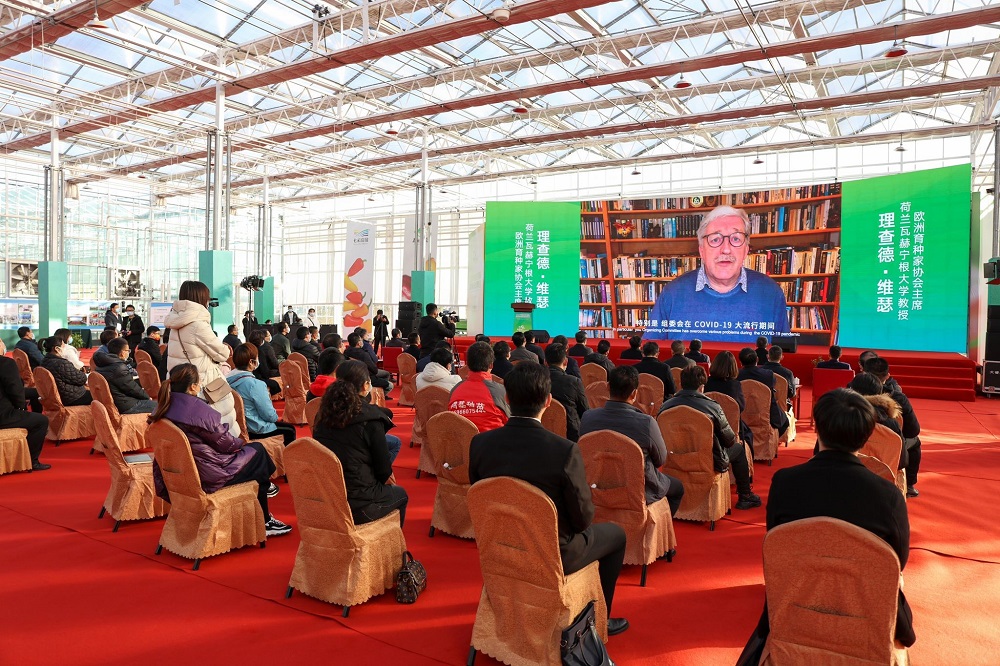 Een presentatie door Richard Visser – juli 2021, online vanwege corona, op de 21ste China Shouguang International Vegetable Seed Exhibition - in Weifang. Foto: Richard Visser