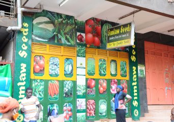 Uganda seed sector alerts