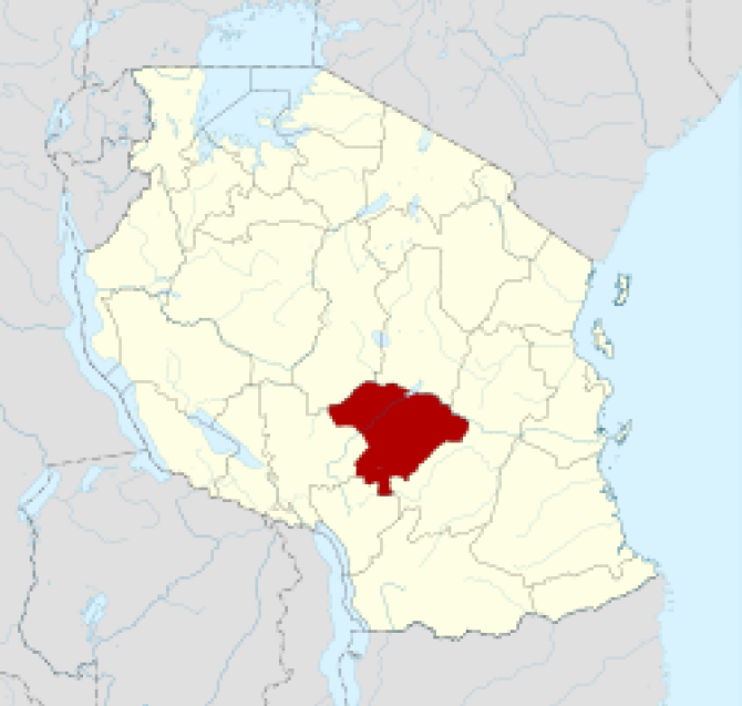 Tanzania political map. Iringa region is shown in red.