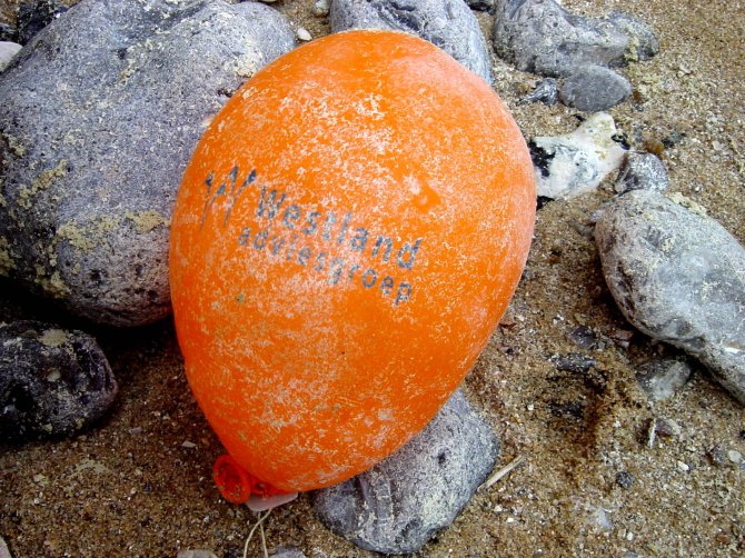 Examples of Dutch balloons, beached in Normandy following Queensday in the Netherlands in 2007.