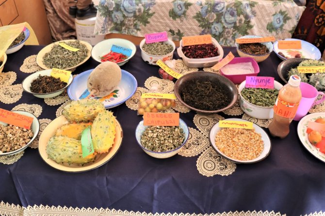 Crop diversity on display at a workshop in Zimbabwe (photo: Ronnie Vernooy, Alliance Bioversity & CIAT)