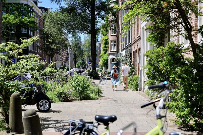Noord-Holland: Op naar toekomstbestendige, duurzame en bloeiende steden met AMS Institute